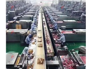 選擇真空包裝機(jī)要關(guān)注哪幾點(diǎn)？